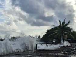 Waspada Ketinggian Gelombang di Perairan Maluku Utara Capai Dua Meter