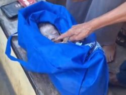 Warga Kastela Temukan Bayi Terbungkus Tas Belanja