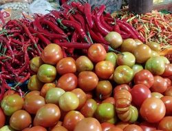 Cuaca Buruk, Harga Tomat di Pasar Dufa-Dufa Naik