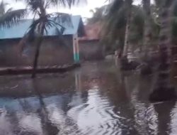 Banjir Rob Rendam Permukiman Warga di Kabau Pantai, Kepulauan Sula