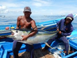 SPMMT-MU Soroti Langkah DKP Morotai Kerja Sama dengan Pengusaha Prikanan Asal Bitung