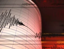 Gempa M 7,6 di Ternate Berpotensi Tsunami, BMKG Catat 7 Kali Gempa Susulan